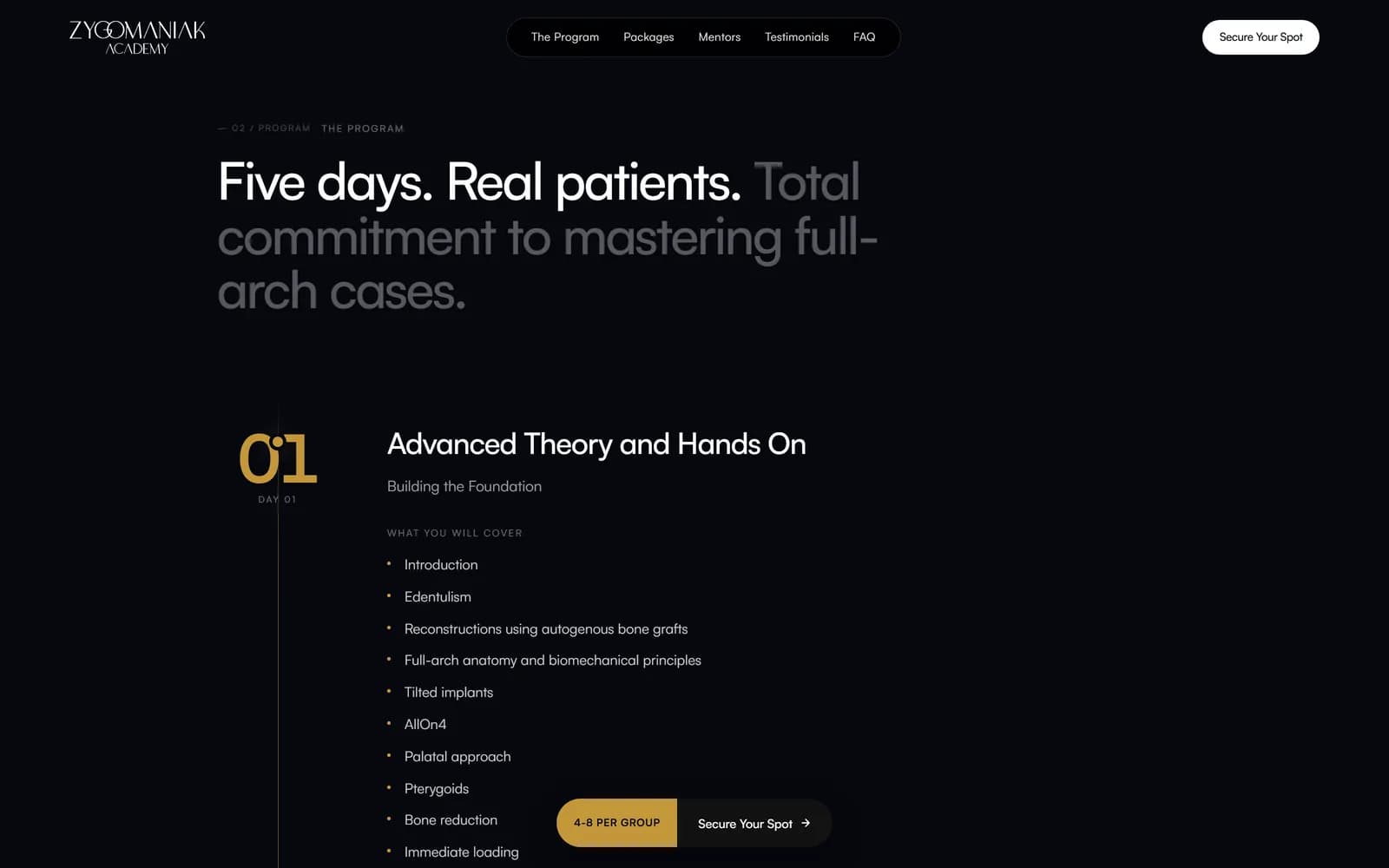 Landing page do AllOnX, tela 4 de 9, site feito pela Venera Digital para Zygomaniak Academy