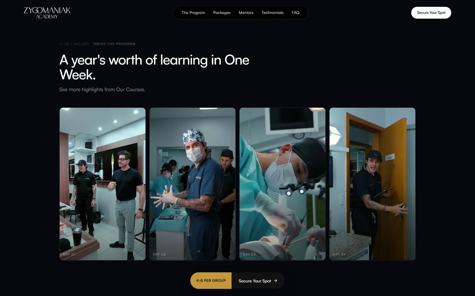 Landing page do AllOnX, tela 7 de 9, site feito pela Venera Digital para Zygomaniak Academy