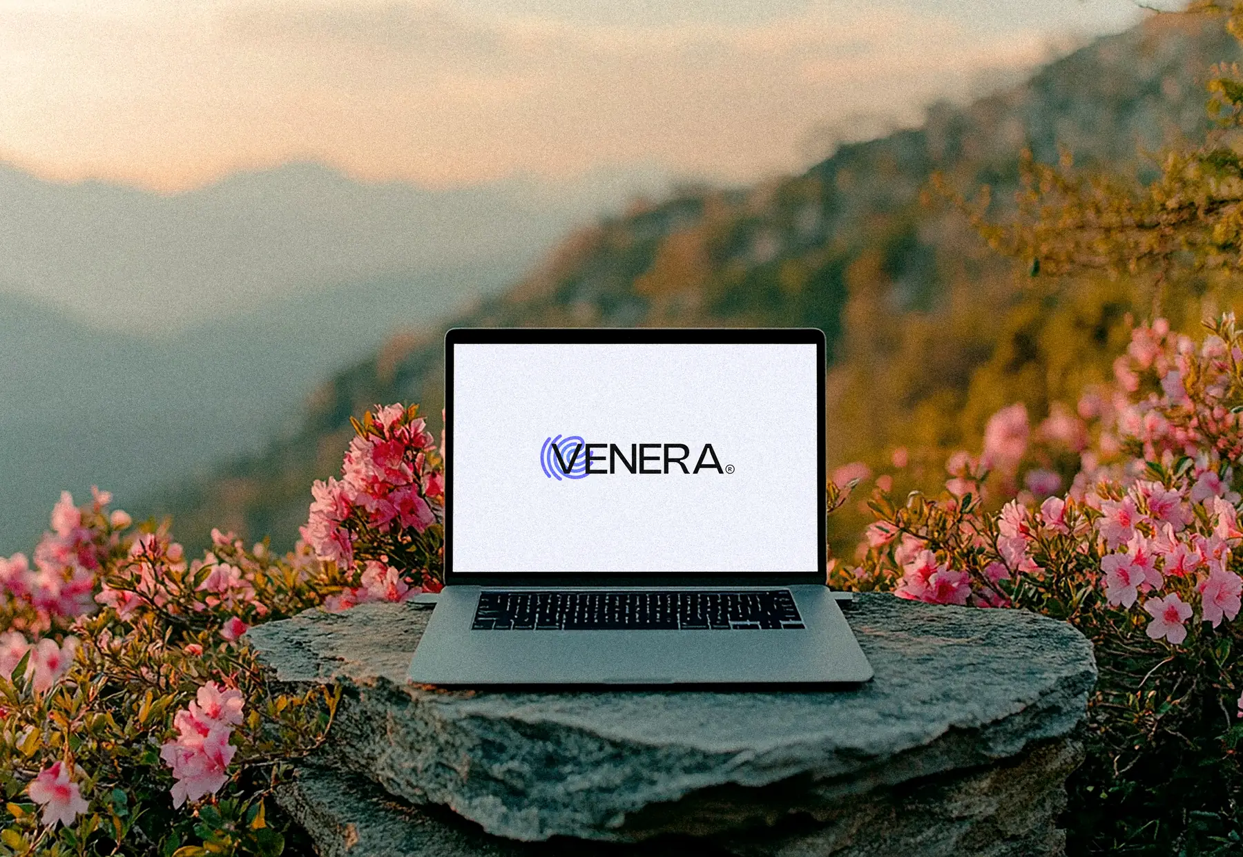 Site da Venera Digital aberto em um notebook
